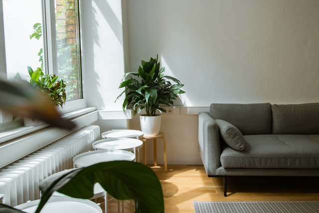 5 Reasons Why You Should Consider an Online Rental Lease
