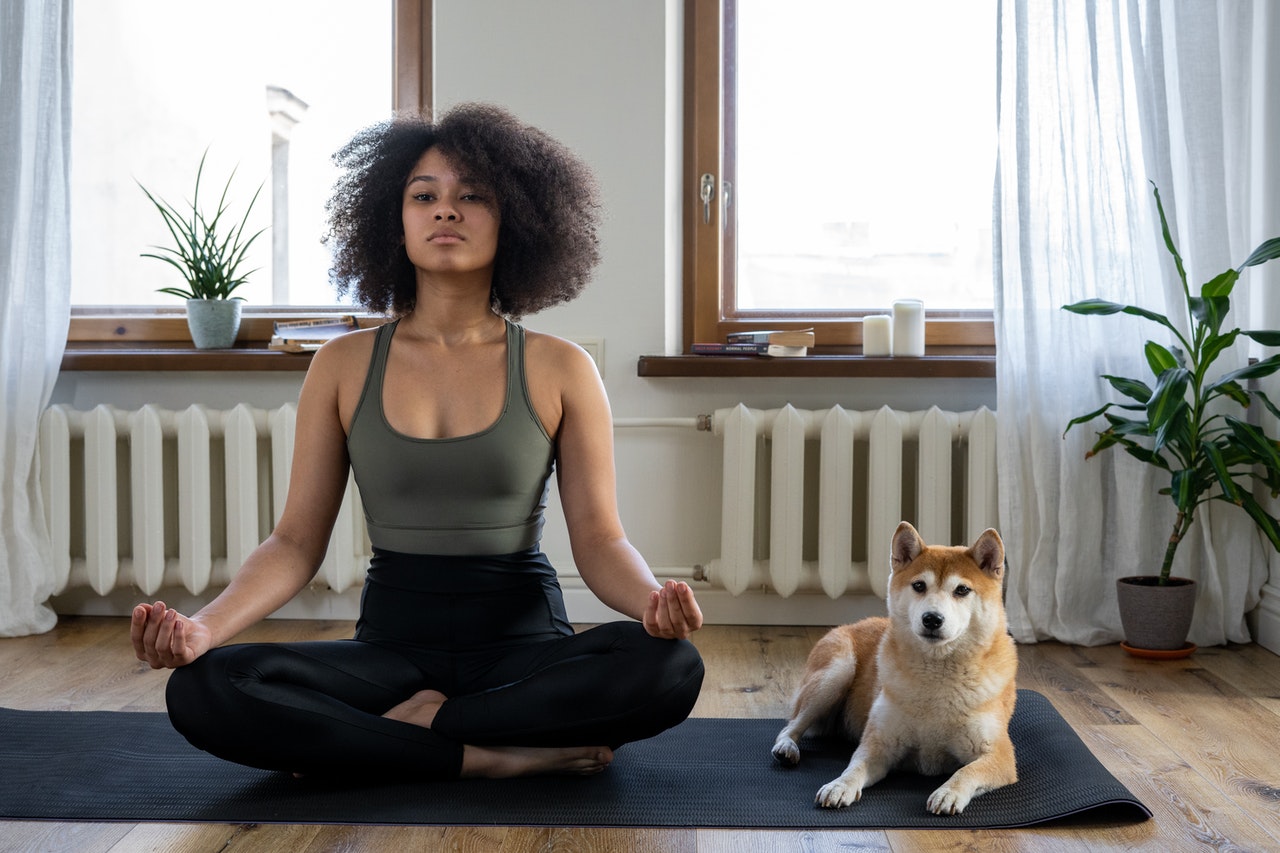 Allowing Pets in Your Rental: Important Things to Do